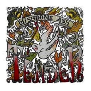 Album Wishbone Ash - Tender