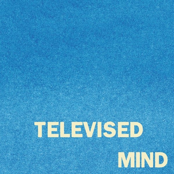 Fontaines D.C. : Televised Mind