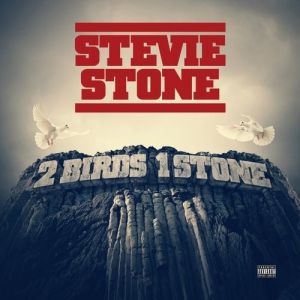 2 Birds 1 Stone - Stevie Stone