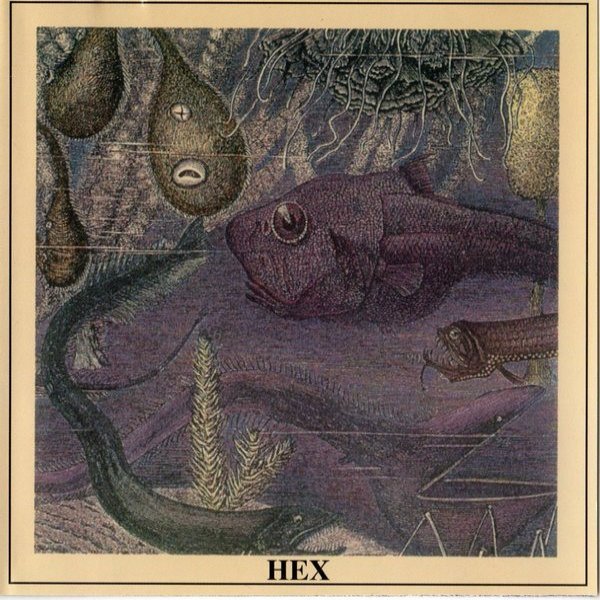 Hex : Hex