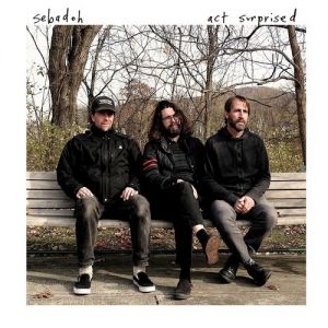 Sebadoh : Act Surprised