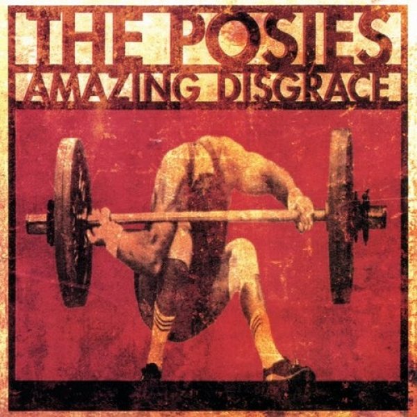 The Posies : Amazing Disgrace