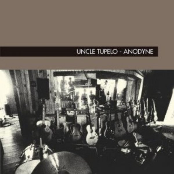 Uncle Tupelo : Anodyne