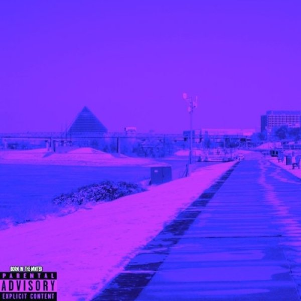 Born in the Winter - Chris Travis