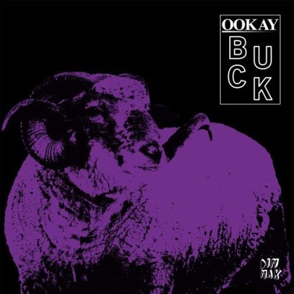 Ookay : Buck