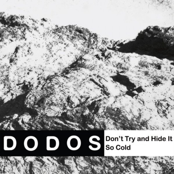 Don't Try and Hide It - The Dodos