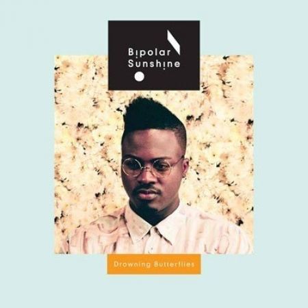 Bipolar Sunshine : Drowning Butterflies