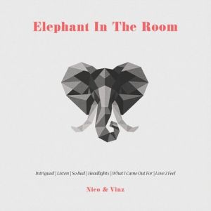 Nico & Vinz : Elephant in the Room