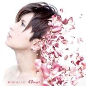 GACKT : No ni Saku Hana no Yō ni