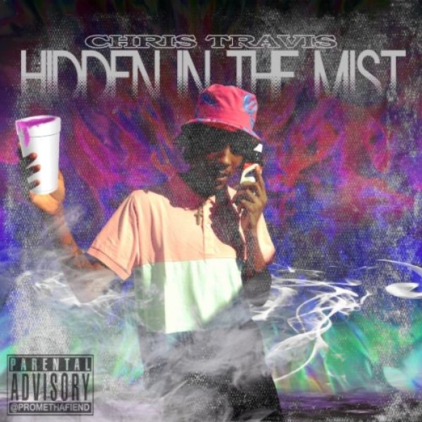 Hidden in the Mist - Chris Travis