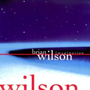 Brian Wilson : Imagination