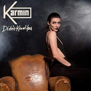 Karmin : Didn't Know You