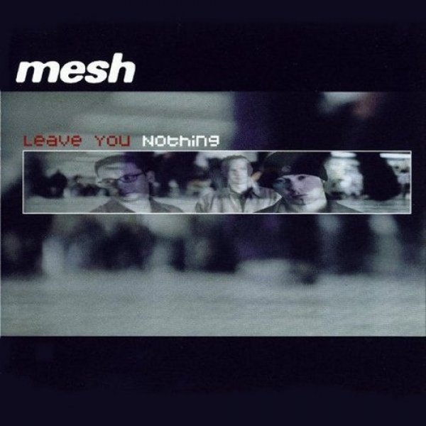 Leave You Nothing - Mesh