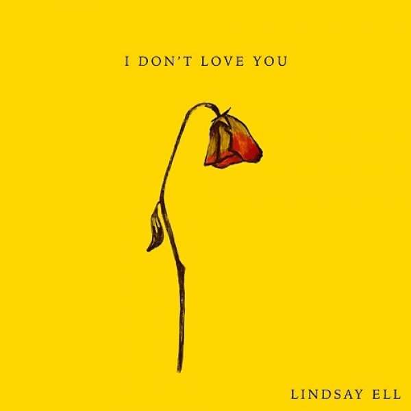 I Don't Love You - Lindsay Ell