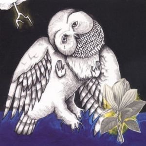 Magnolia Electric Co. - Songs: Ohia