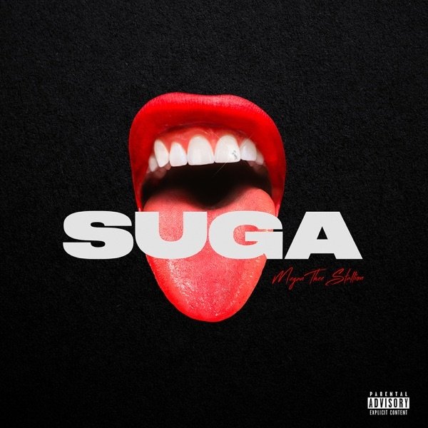 Megan Thee Stallion : Suga