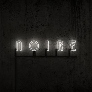 VNV Nation : Noire