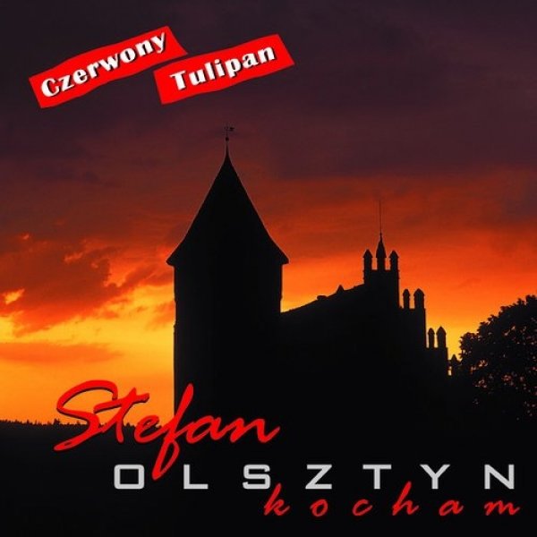 Olsztyn Kocham - Czerwony Tulipan