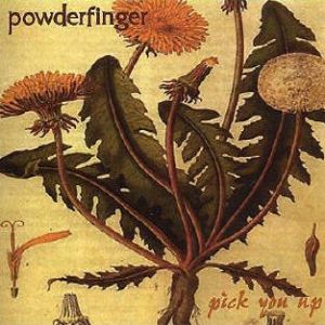 Powderfinger : Pick You Up