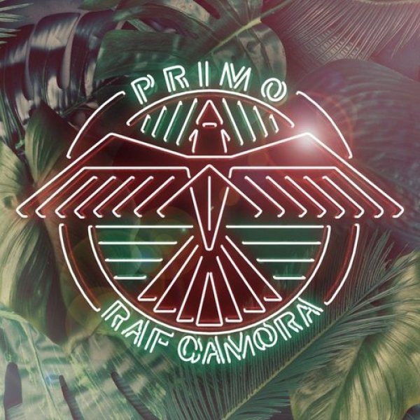 RAF Camora : Primo