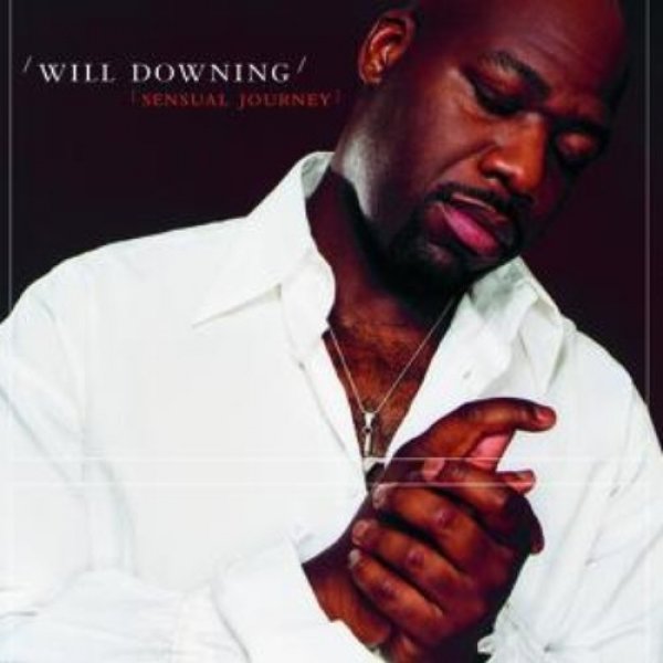 Will Downing : Sensual Journey