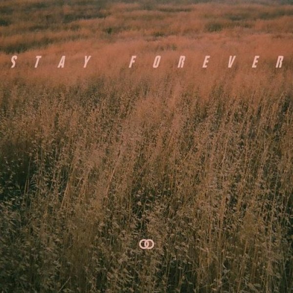 Ookay : Stay Forever