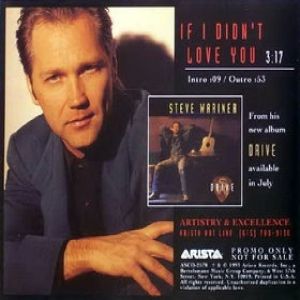 Steve Wariner : If I Didn't Love You