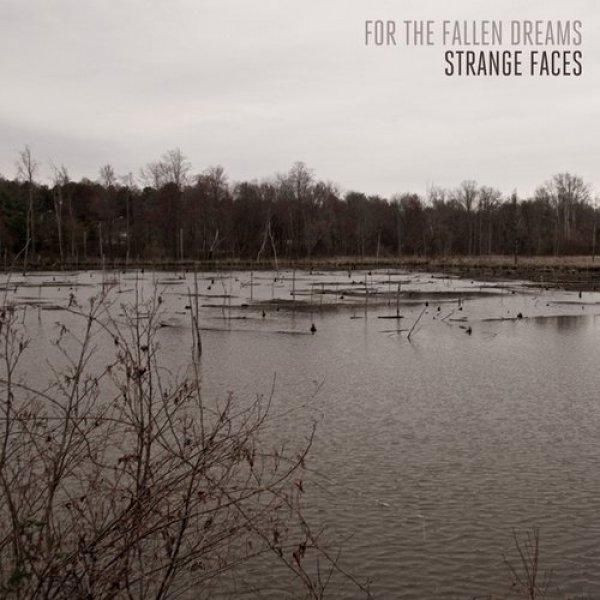 For the Fallen Dreams : Strange Faces