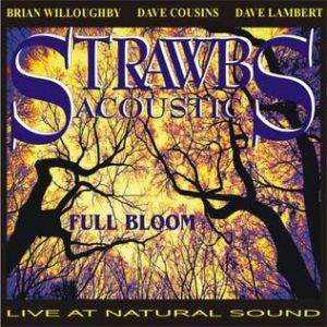 Full Bloom - Strawbs