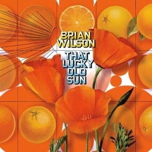 Brian Wilson : That Lucky Old Sun