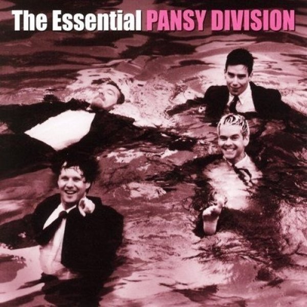 Pansy Division : The Essential Pansy Division