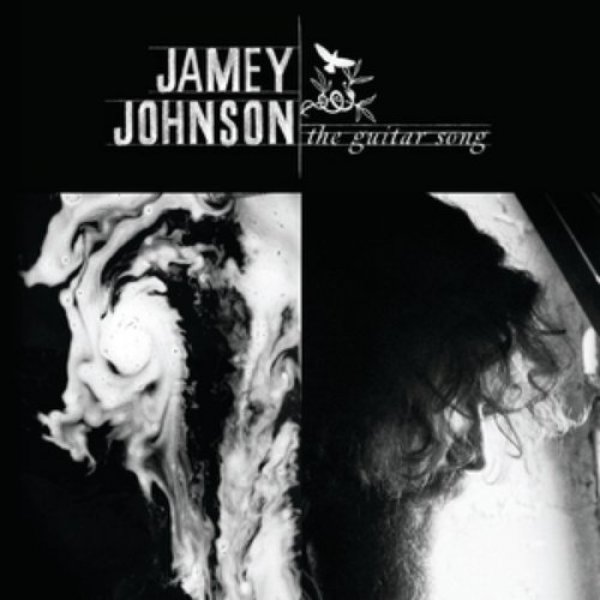 Jamey Johnson : The Guitar Song