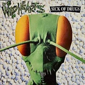 The Wildhearts : Sick of Drugs