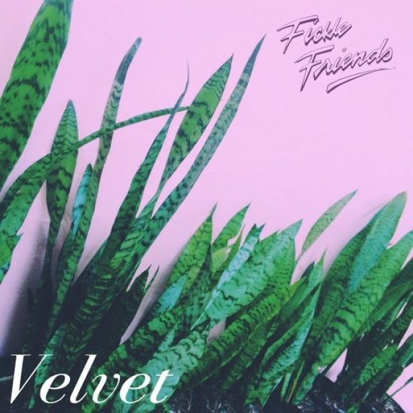 Fickle Friends : Velvet