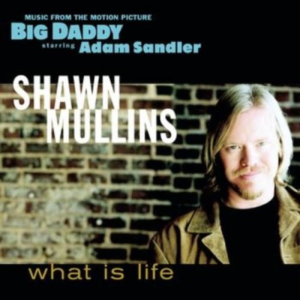 Shawn Mullins : What Is Life