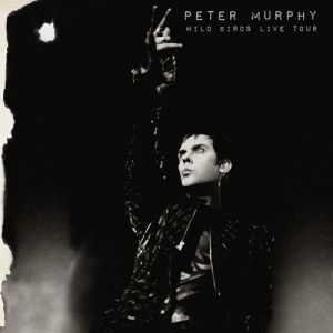 Peter Murphy : Wild Birds Live Tour