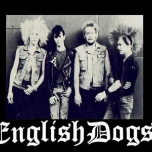 Lyrics English Dogs
