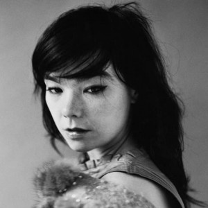Texty písní Björk