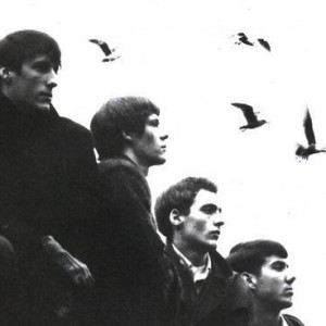 The Sonics